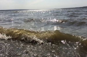 Под Пензой нашли тело утонувшего мужчины