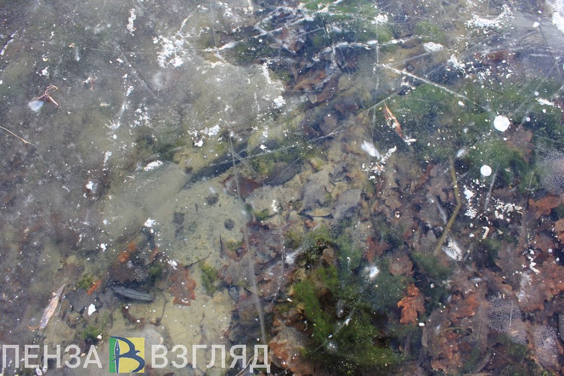 Жителям Пензенской области напомнили, как вести себя на льду