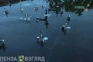 Для главного пензенского фонтана закупят насосы более чем на 500 тысяч рублей