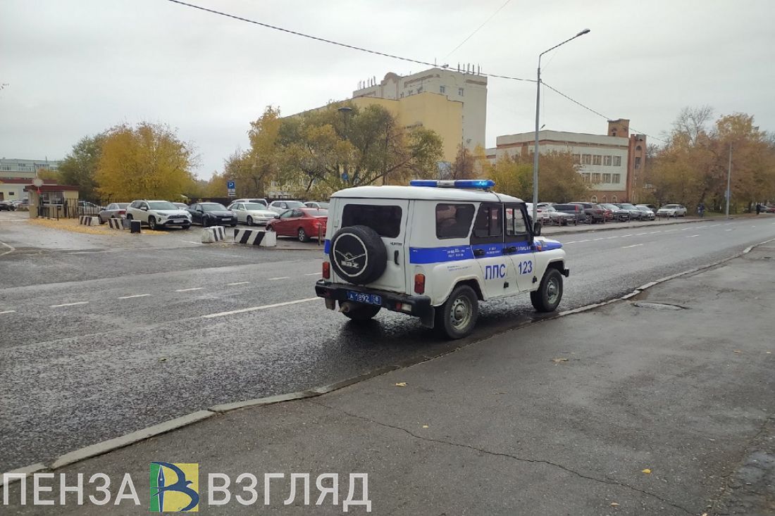 Маска и маскировка не помогли пензенскому вору, обчистившему кассу торговой  точки