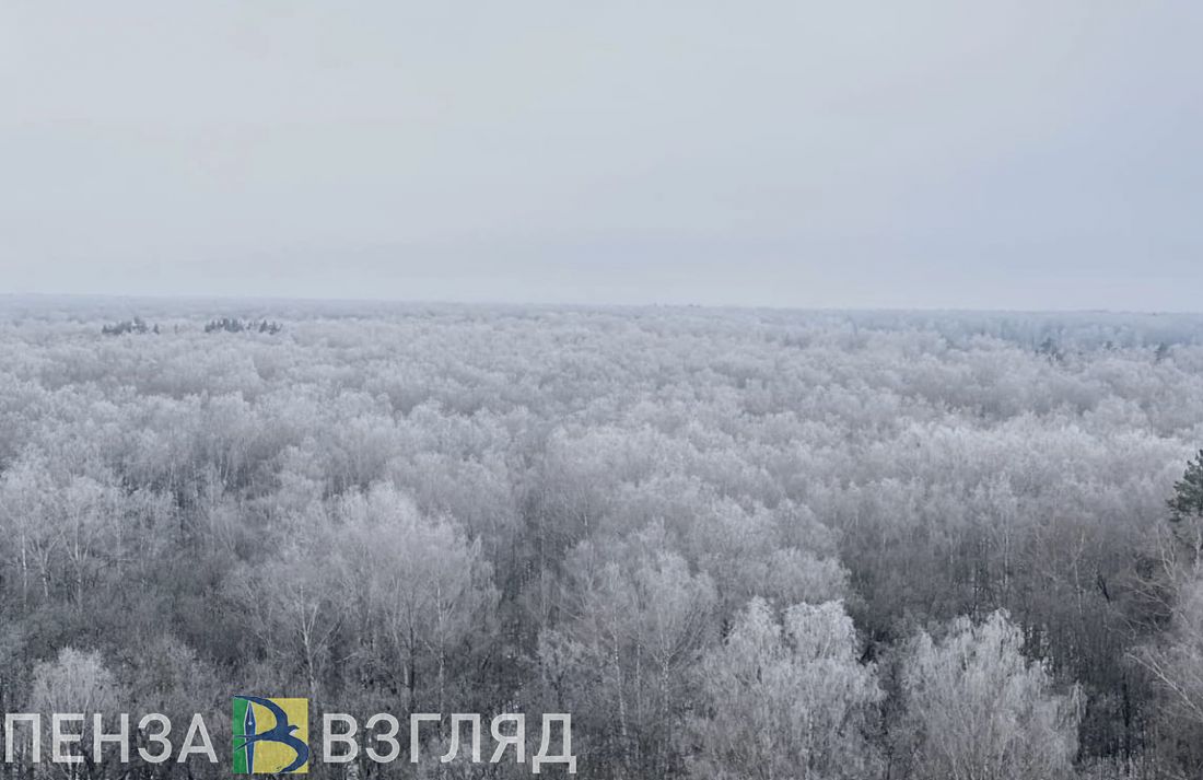 Пензенцам обещают морозную среду без снега