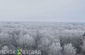 Пензенцам обещают морозную среду без снега