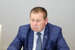 В Пензенской области в 2022 году посадили больше деревьев, чем вырубили