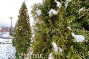 До 15 градусов мороза в начале декабря прогнозируется в Пензенской области