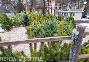 78 елочных базаров откроют в Пензе