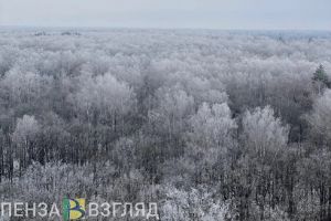 Первый зимний день в Пензенской области будет морозным