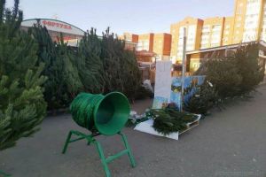 Стало известно, где в Пензе откроются елочные базары
