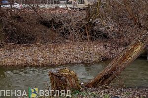 Минлесхоз нашел в Пензе опасную свалку в водоохранной зоне