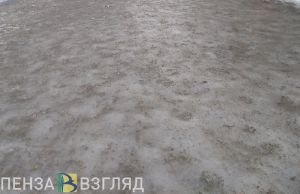 Пензенцам объяснили, зачем поливать асфальт химией
