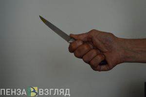 Житель Никольского района подрался и ударил недруга ножом