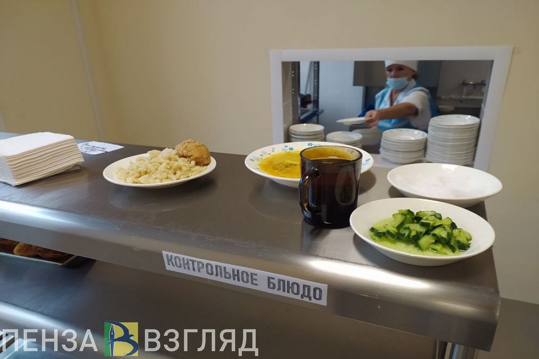 Депутат предложил проверять организацию питания в детсадах Пензы