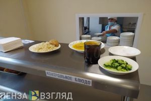 Депутат предложил проверять организацию питания в детсадах Пензы