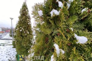 В пятницу в Пензенской области ухудшится погода