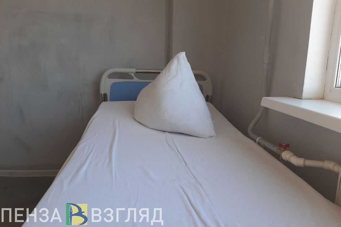 В Пензенской области выявлено 60 случаев «свиного» гриппа
