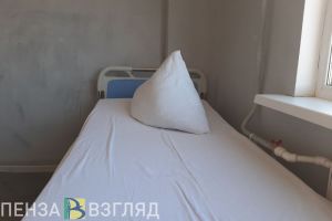 В Пензенской области выявлено 60 случаев «свиного» гриппа