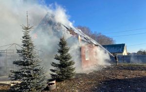 В селе под Пензой 12 пожарных тушили деревянный дом