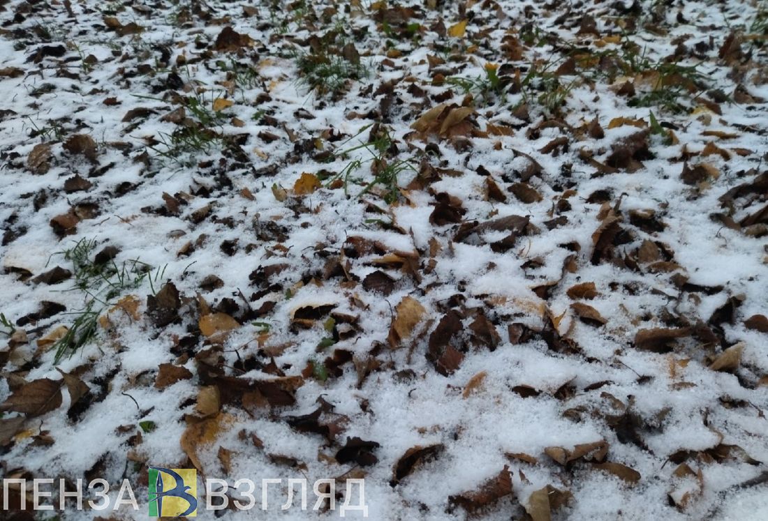 Сильный ветер и небольшой морозец обещают пензенцам 10 декабря