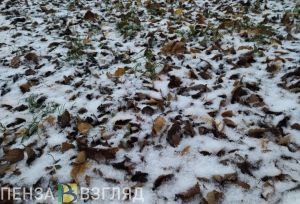 Сильный ветер и небольшой морозец обещают пензенцам 10 декабря