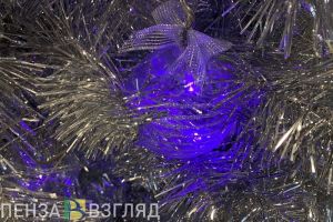 В субботу пензенцев приглашают на новогоднюю елку (0+)
