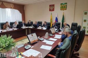 В пензенской Гордуме мэр и депутат поспорили о развитии микрорайона Заря