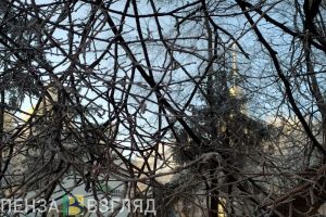 Жителей Пензенской области предупреждают о сильном ветре 12 декабря