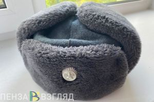 Пензенцев призвали критичнее относиться к неофициальным публикациям об условиях службы мобилизованных
