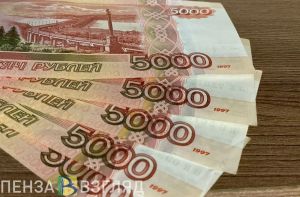 Жительница Пензенской области хотела заработать на брокерских операциях, но попала к мошенникам