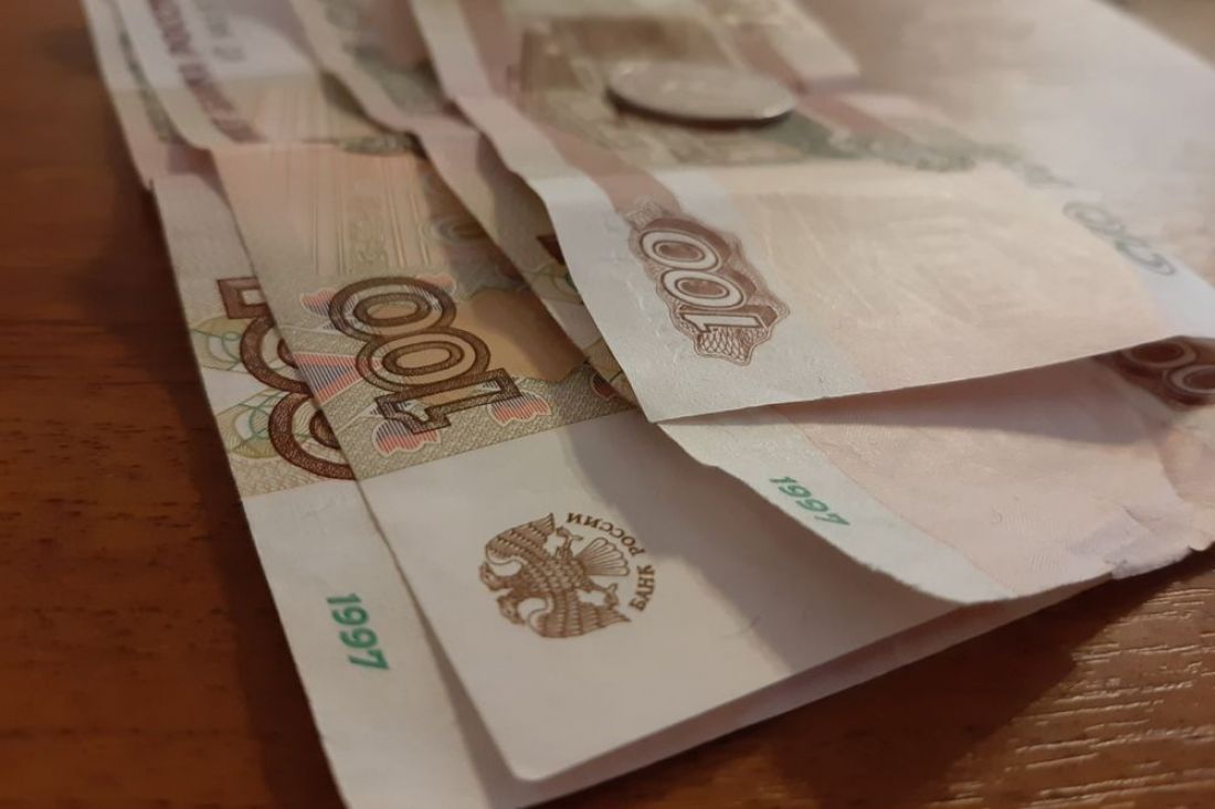 Пензенцев могут оштрафовать за гуляющее в неположенном месте животное