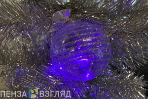 Пензячка не смогла купить новогоднюю елку из-за мошенника