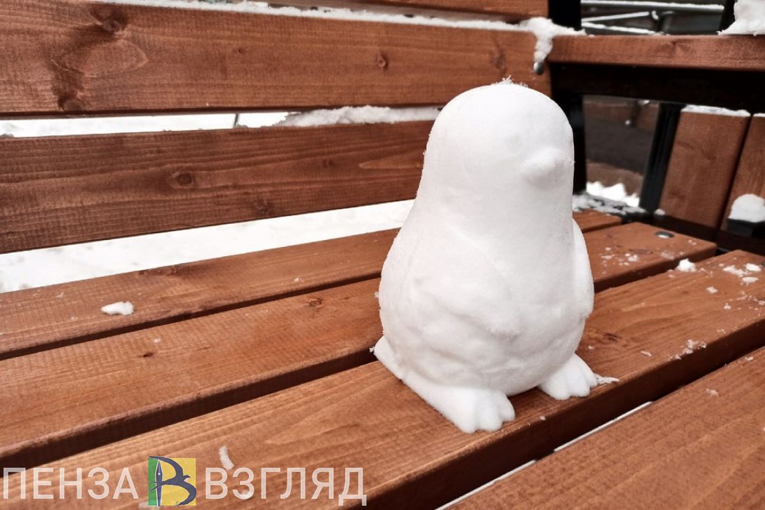 Пензенцы могут посетить ледяной городок «Зимняя сказка» (0+)