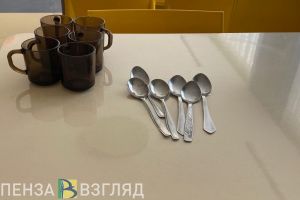 В Пензенской области подростка-инвалида не обеспечивали двухразовым питанием