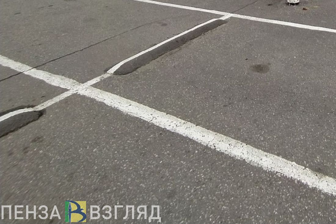Атякшев ответил на претензии пензенцев о занятых машинами «скорой» парковочных местах