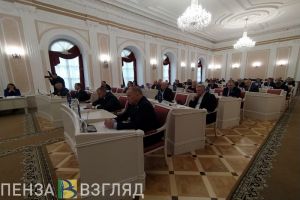 Депутаты избрали тайным голосованием зампреда Законодательного собрания Пензенской области