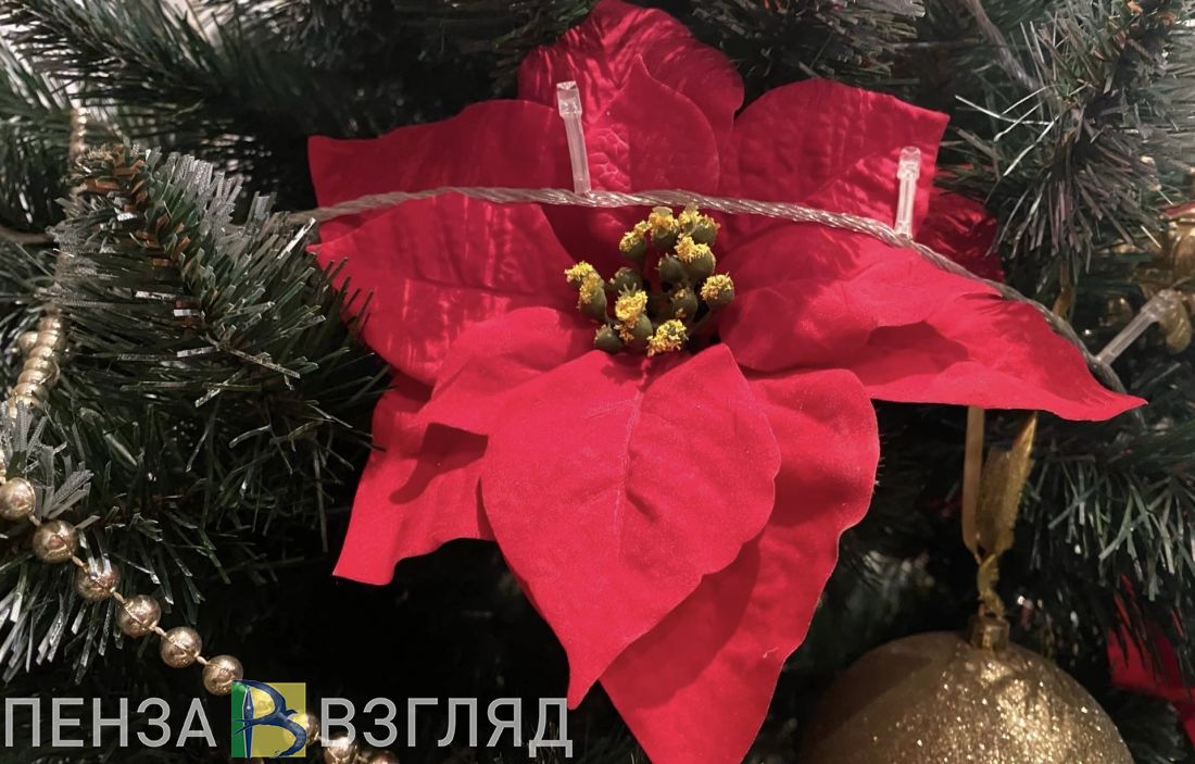 Стало известно, когда в Заречном зажгут новогодние огни на елках