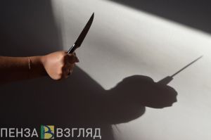 Чистившая картошку жительница Каменского района ударила мужа ножом за критику
