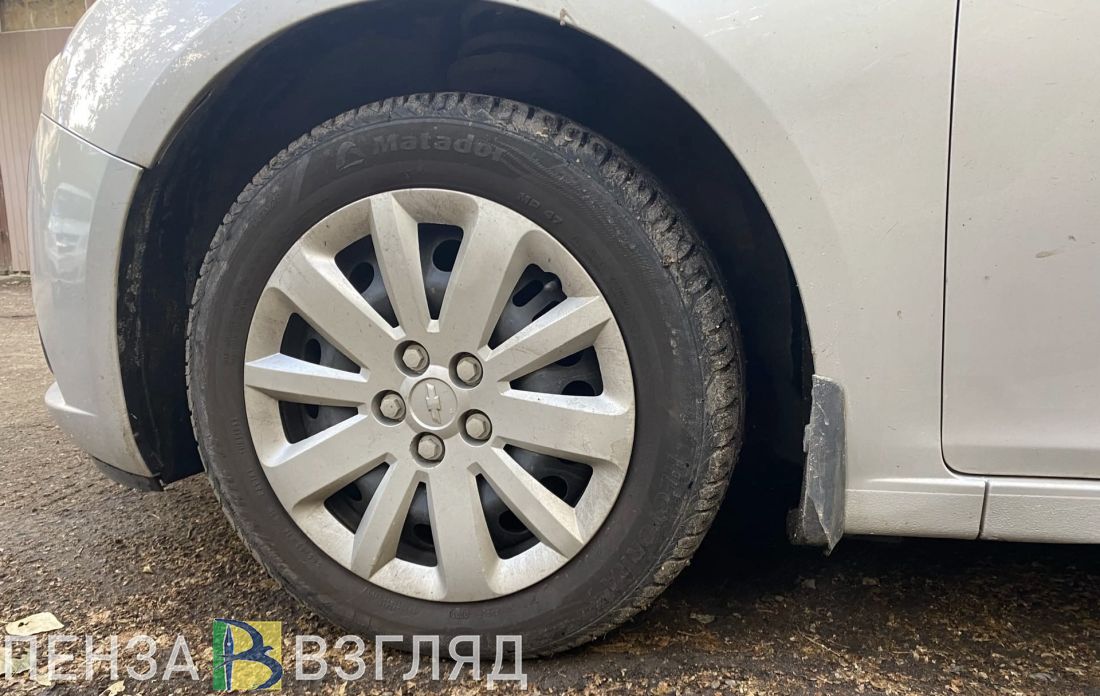 В Пензенской области будут искать любителей езды по встречной полосе