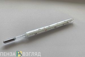 За неделю заболеваемость ОРВИ в Пензенской области выросла на 54%