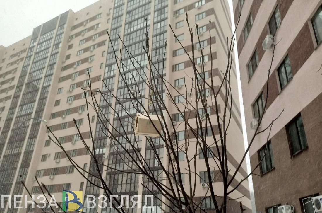 В Пензенской области сохранится повышенный температурный режим