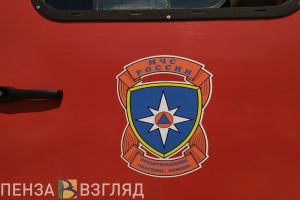 В Пензенской области на 21% снизилось количество пожаров