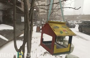 Пензенцам прогнозируют снежный, но не морозный вторник