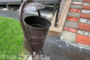 В Пензенской области выявили несанкционированную свалку