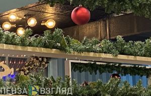 Олег Мельниченко: «Детям Запорожской области больше всех необходимо новогоднее волшебство»