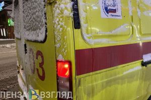 Воробьева рассказала о самочувствии детей с гриппом и ковидом в Пензенской области