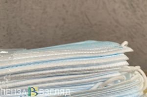 Пензенцев призвали водить детей на новогодние елки в масках