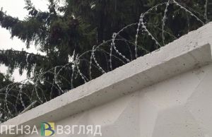 В Пензе задержали разностороннего вора