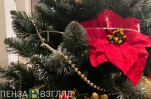В Пензе начали вручать новогодние подарки детям