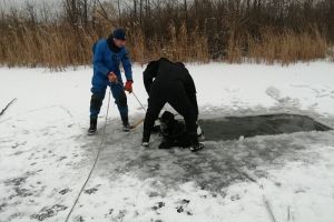 Опубликованы фотографии с места гибели подростка на реке Сура в Пензе