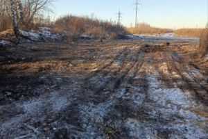 На нескольких улицах Пензы ликвидировали более тысячи кубометров мусора