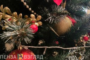 Олег Мельниченко поддержал просьбу военнослужащих и ветеранов о культурном праздновании Нового года