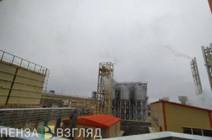Воробьева высказалась о вероятности локдауна по гриппу в Пензенской области